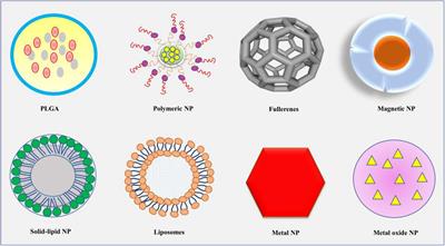 The Application of Nanotechnology for the Diagnosis and Treatment of Brain Diseases and Disorders